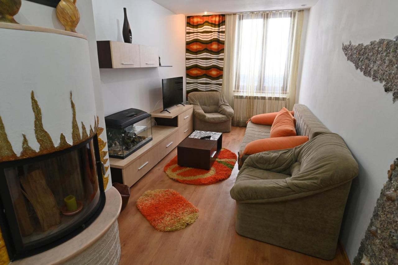 Apartament Camelia Петрошань Екстер'єр фото