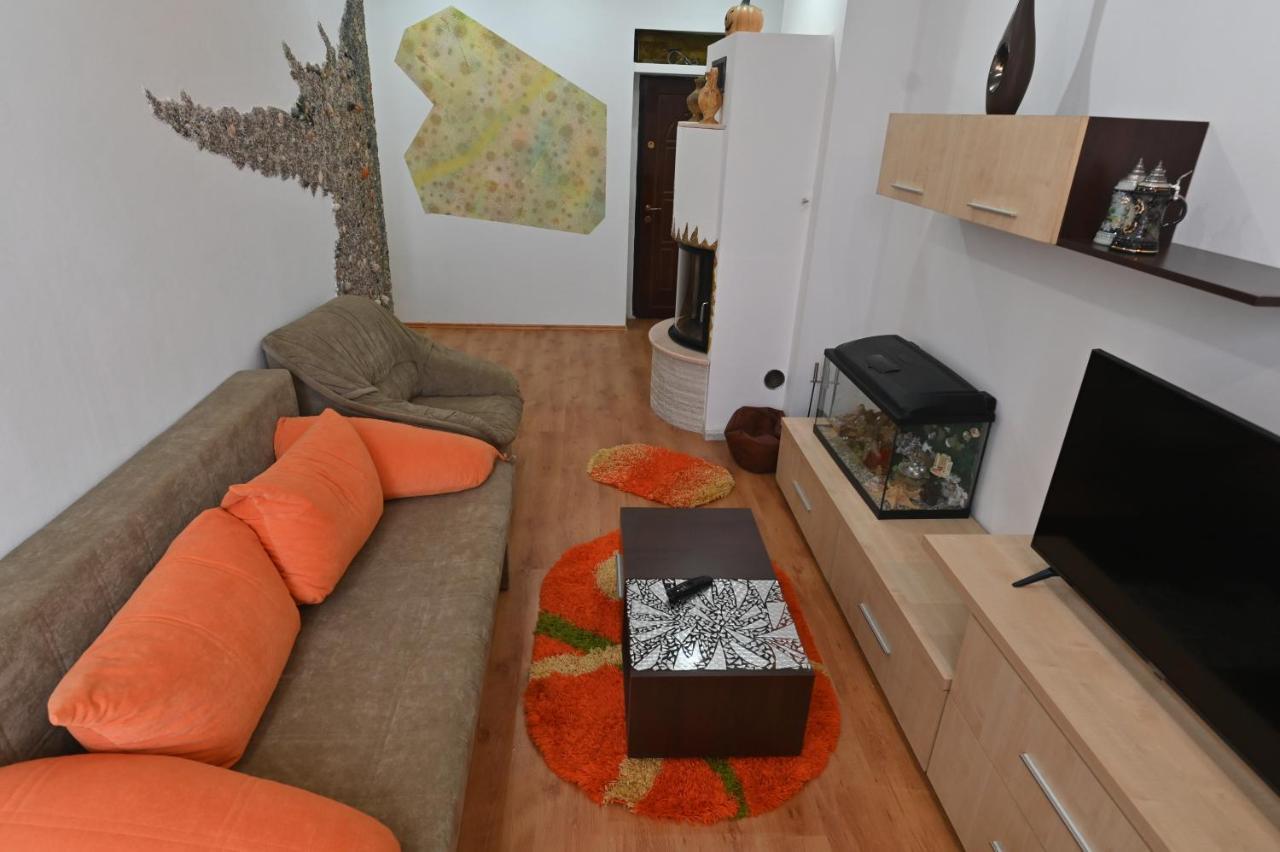 Apartament Camelia Петрошань Екстер'єр фото