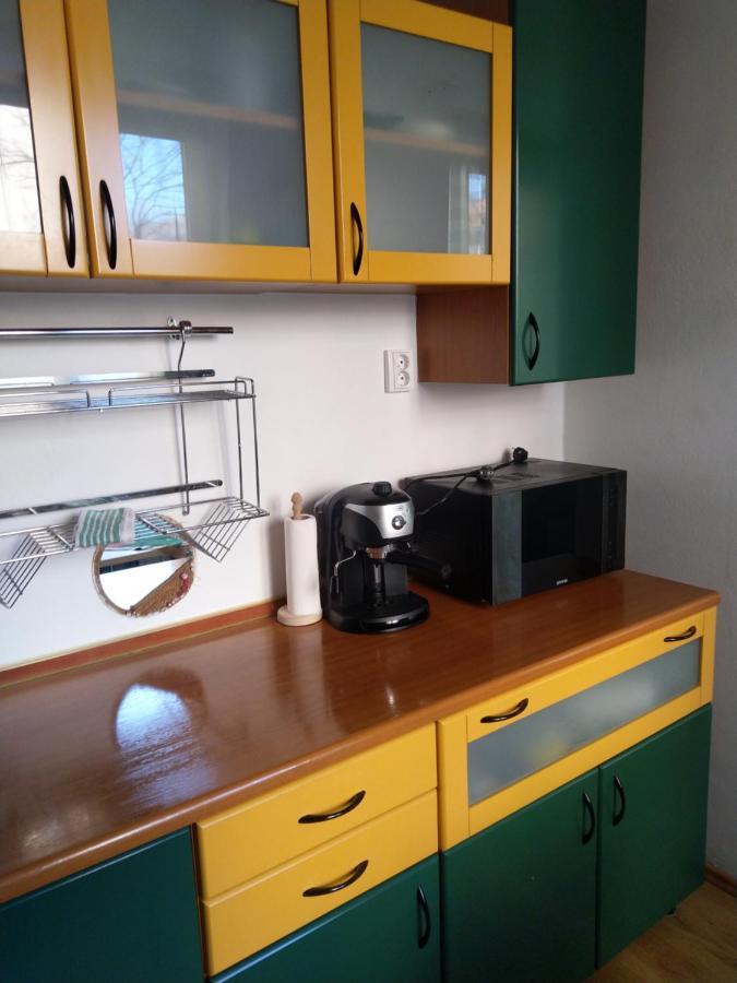 Apartament Camelia Петрошань Екстер'єр фото