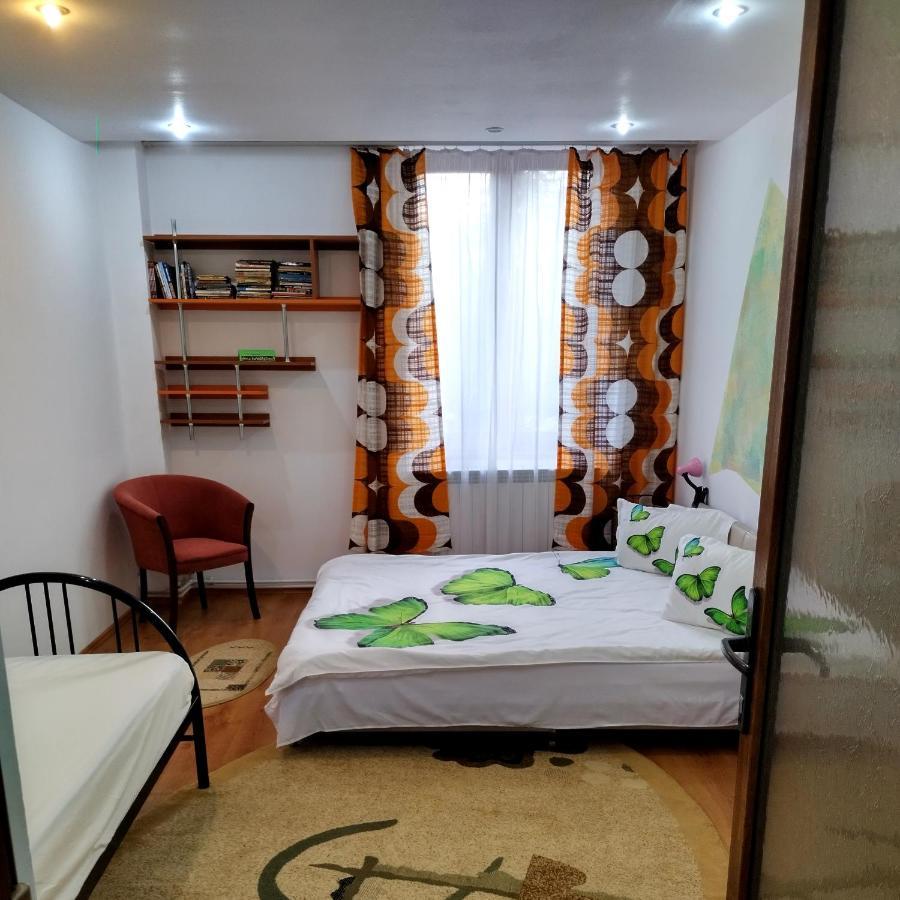 Apartament Camelia Петрошань Екстер'єр фото