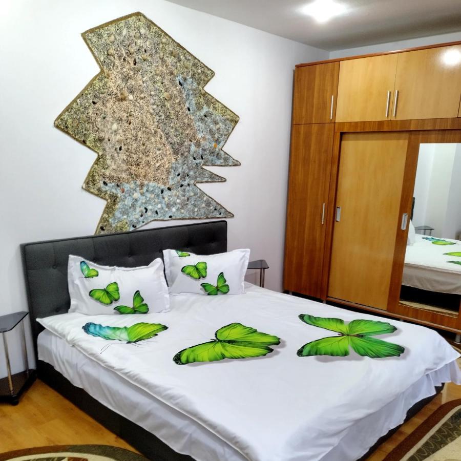 Apartament Camelia Петрошань Екстер'єр фото