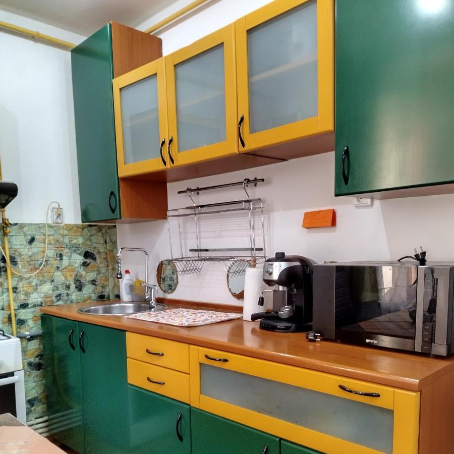 Apartament Camelia Петрошань Екстер'єр фото
