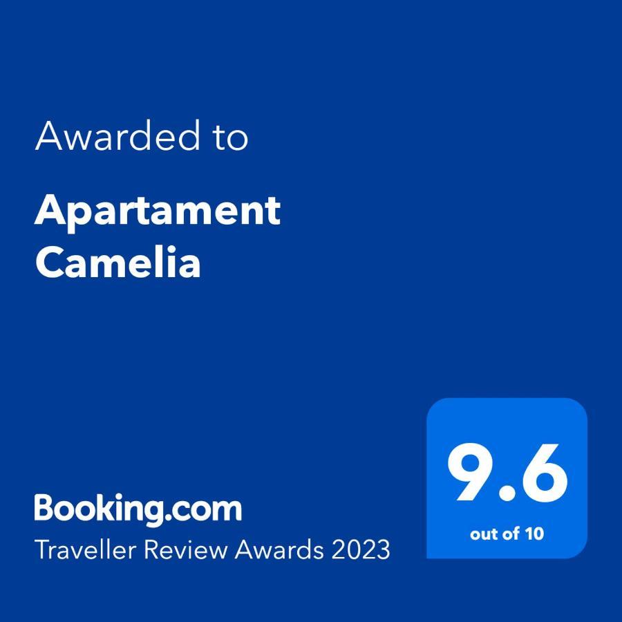 Apartament Camelia Петрошань Екстер'єр фото